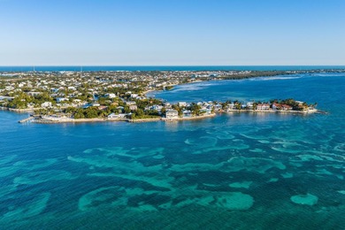 Private oceanfront estate behind the gates of Tingler Island - photo 7