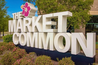 Welcome to High Market II at Market Common, a new construction - photo 33