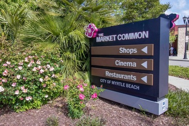 Welcome to High Market II at Market Common, a new construction - photo 34