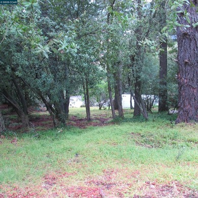BAY VIEW LOT ON A PRIVATE ROAD. Drive up a private road just off - photo 5