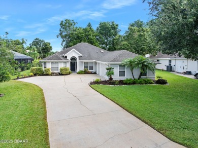 Ormond Lakes  Home Active Under Contract in Ormond Beach Florida