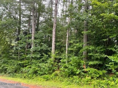 Hudson River - Fulton County Lot For Sale in Hadley New York