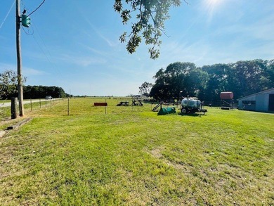 Let your imagination run wild on this beautiful 206 mostly level - photo 13