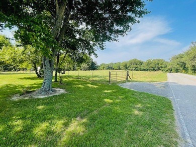 Let your imagination run wild on this beautiful 206 mostly level - photo 19