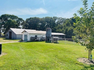 Let your imagination run wild on this beautiful 206 mostly level - photo 23