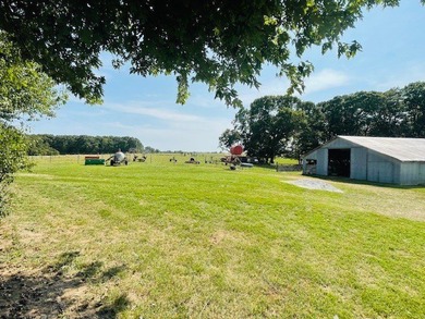 Let your imagination run wild on this beautiful 206 mostly level - photo 24