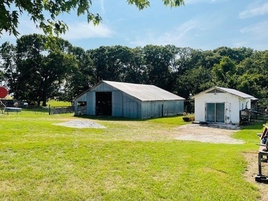 Let your imagination run wild on this beautiful 206 mostly level - photo 25