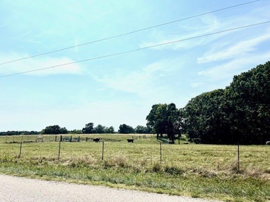 Let your imagination run wild on this beautiful 206 mostly level - photo 27