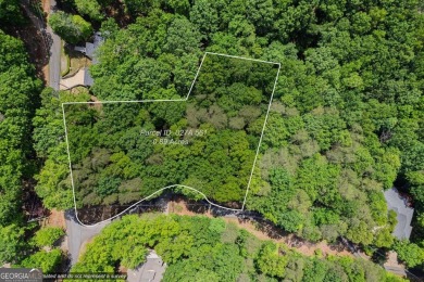 Lake Lot For Sale in Jasper, Georgia