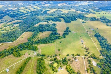 Let your imagination run wild on this beautiful 206 mostly level - photo 33