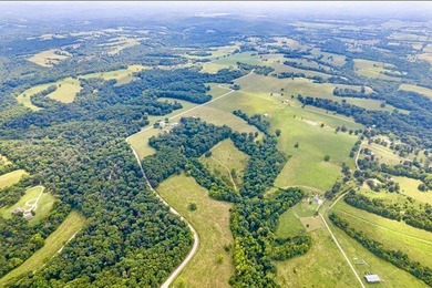 Let your imagination run wild on this beautiful 206 mostly level - photo 34