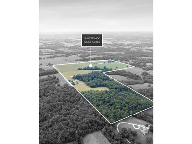 Let your imagination run wild on this beautiful 206 mostly level - photo 36