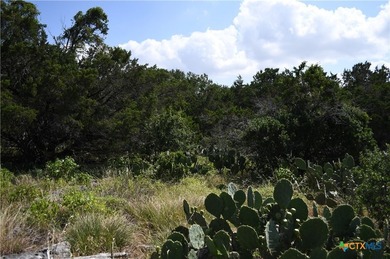 Build your dream home on the desirable west side of Canyon Lake! - photo 3