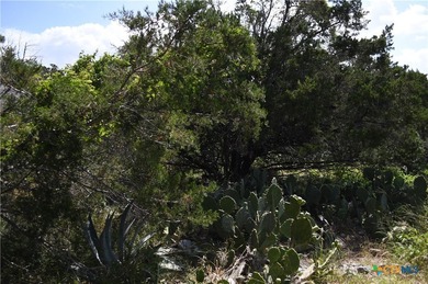 Build your dream home on the desirable west side of Canyon Lake! - photo 4