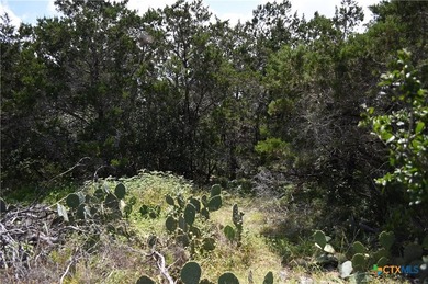 Build your dream home on the desirable west side of Canyon Lake! - photo 8