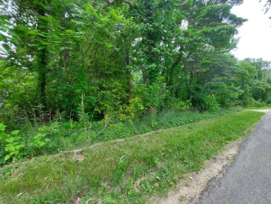 Lake Lot For Sale in Bloomingdale, Michigan