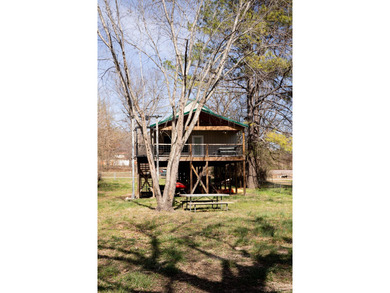 Discover the ultimate Ozark escape! This stunning 3-bedroom - photo 2