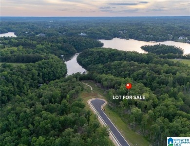 Lake Lot For Sale in Tuscaloosa, Alabama