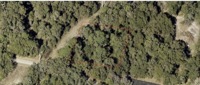 (private lake, pond, creek) Lot Sale Pending in Seville Florida