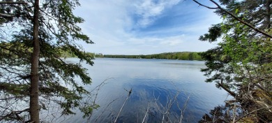 Wildwood Lake - Cheboygan County Lot For Sale in Wolverine Michigan