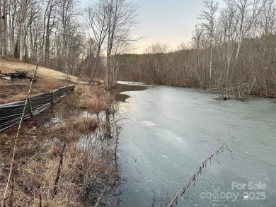 Lake Lot For Sale in Denver, North Carolina