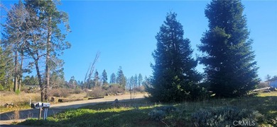 Magalia Lake  Lot For Sale in Magalia California