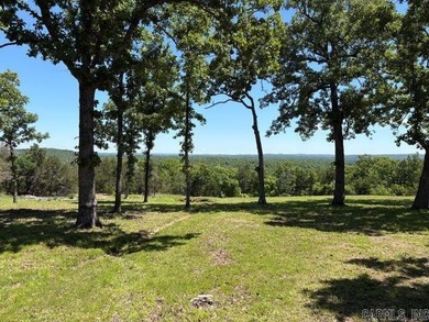 Tucked away in the beautiful Ozarks near Bull Shoals Lake, this - photo 6
