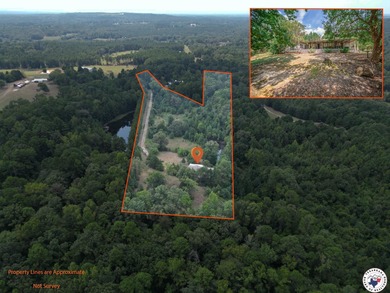 (private lake, pond, creek) Home For Sale in Gilmer Texas