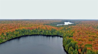(private lake) Acreage For Sale in Amasa Michigan