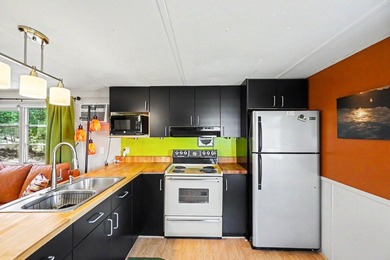 8176 W Pine Grove Beach Drive, Baldwin, MI 49304. Escape to the - photo 11