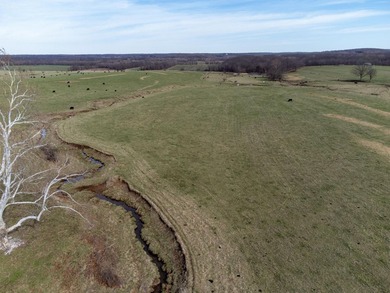 Farm offers 131.19 Acres, 2 sides of road frontage (1 being - photo 8