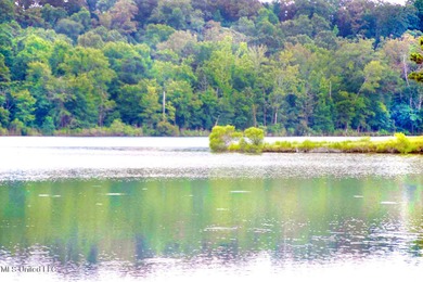 (private lake, pond, creek) Acreage For Sale in Flora Mississippi