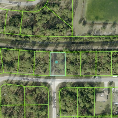 Lehigh Acres Area Lot For Sale in Lehigh Acres Florida