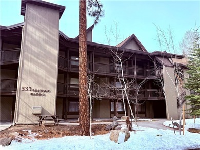 Lake Tahoe - Washoe County Condo For Sale in Incline Village Nevada