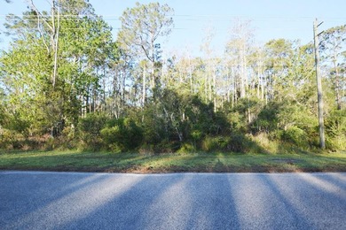 Excellent opportunity to own this 8.8 acre commercial parcel on - photo 9