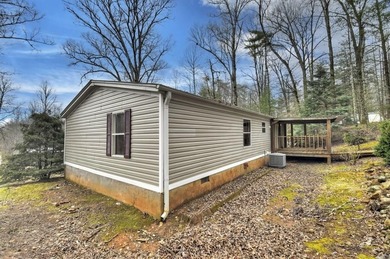 Lake Blue Ridge Home For Sale in Blue Ridge Georgia