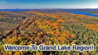 The Farm Property That's Low Cost With Land In Maine. Low Priced - photo 20