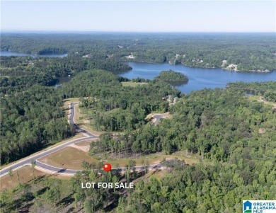 Lake Lot For Sale in Tuscaloosa, Alabama
