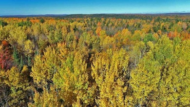 The Farm Property That's Low Cost With Land In Maine. Low Priced - photo 26
