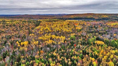 The Farm Property That's Low Cost With Land In Maine. Low Priced - photo 29