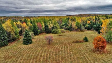 The Farm Property That's Low Cost With Land In Maine. Low Priced - photo 30