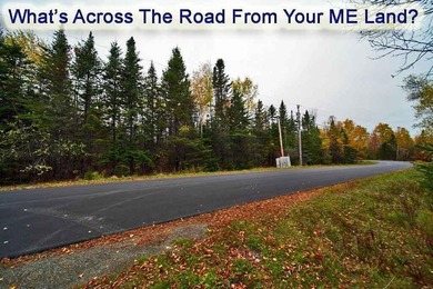 The Farm Property That's Low Cost With Land In Maine. Low Priced - photo 31