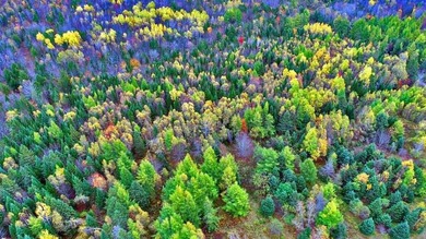 The Farm Property That's Low Cost With Land In Maine. Low Priced - photo 33