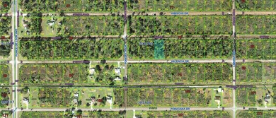 Lake Weohyakapka Lot For Sale in Indian Lake Estates Florida