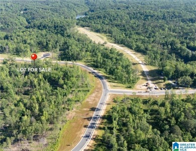 Lake Acreage For Sale in Tuscaloosa, Alabama