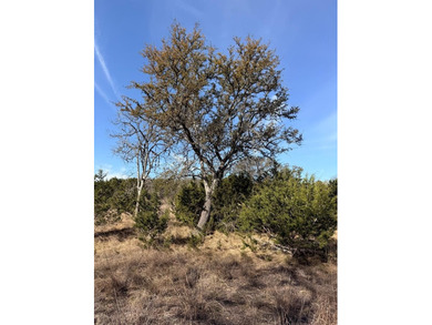 (private lake, pond, creek) Acreage Active Under Contract in Kerrville Texas