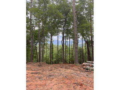 Lake Lot Sale Pending in Ellijay, Georgia