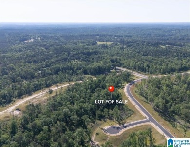 Lake Acreage For Sale in Tuscaloosa, Alabama