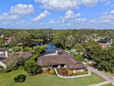 (private lake, pond, creek) Home Sale Pending in Tampa Florida