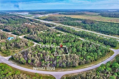 Lehigh Acres Area Lot For Sale in Lehigh Acres Florida